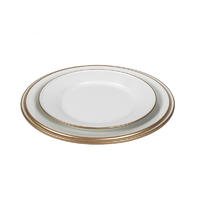 Tin Plate white dinner plates